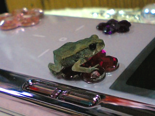 08-08-03_02-48a.jpg
