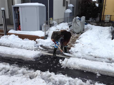 20140215_3613a.jpg