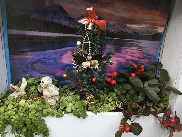 2018-Xmas_5078a.jpg