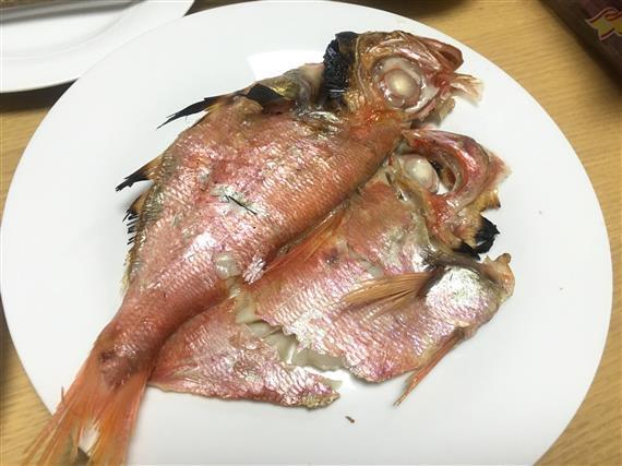 Fish_1407a.jpg