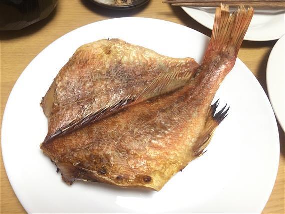 Fish_1413a.jpg