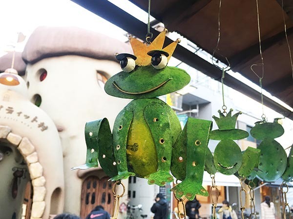 Frog_3642a.jpg
