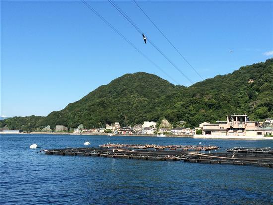 awashima_20150815_151723_622a.jpg