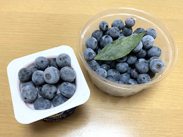 blueberry_9159a.jpg