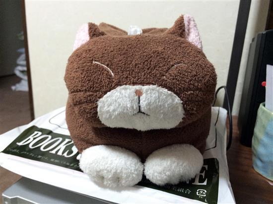 cat_001a.jpg