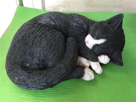 cat_178a.jpg