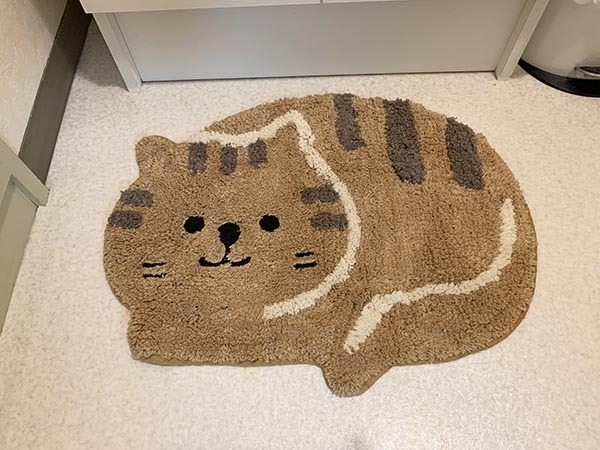 cat_7345a.jpg