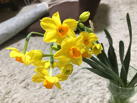 flower_4005b.jpg
