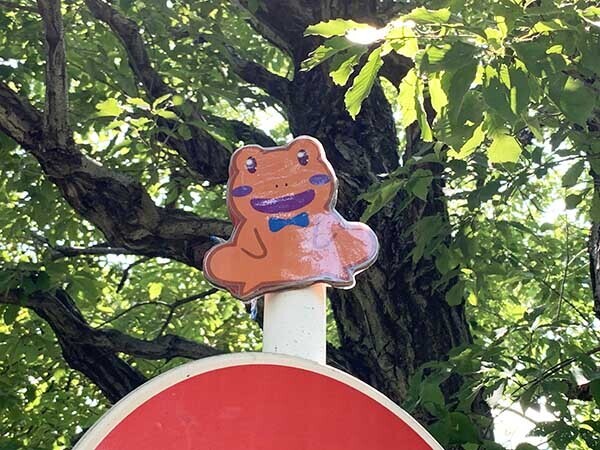 frog_0273a.jpg