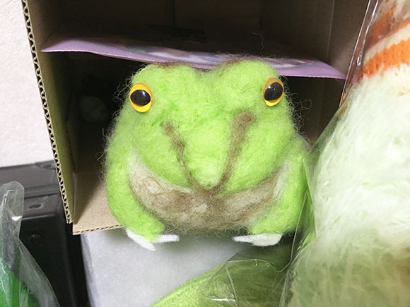 frog_2454b.jpg