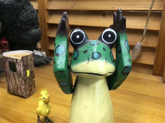 frog_2559a.jpg