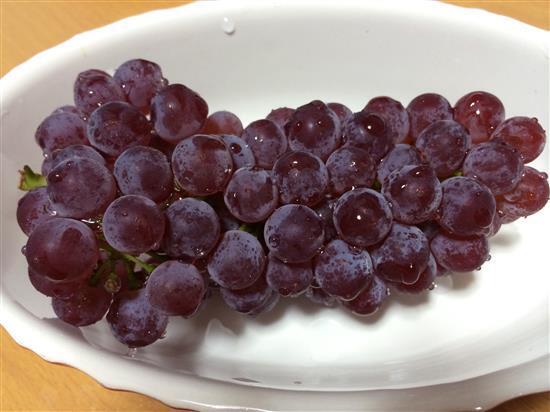 fruet_0145a.jpg