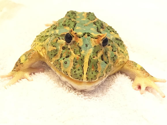 kurukuru_3861b.jpg