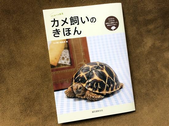 mane-book_7261a.jpg