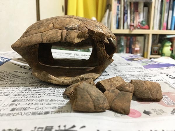 sakieru_1773a.jpg