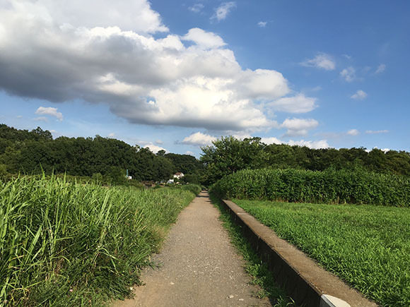 sanpo_5923a.jpg