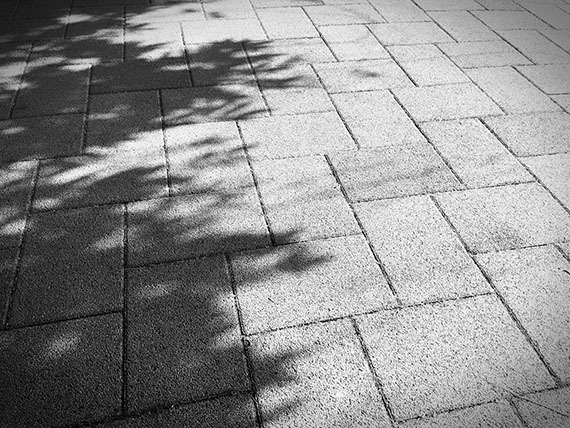 shadow_0768b.jpg