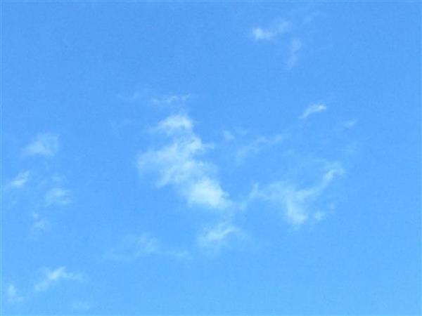 sky_flower_009.jpg