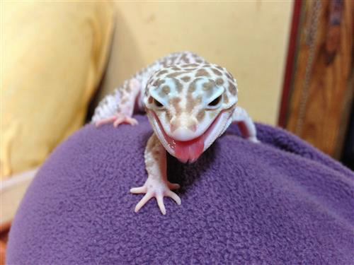 smiley_3380a.jpg