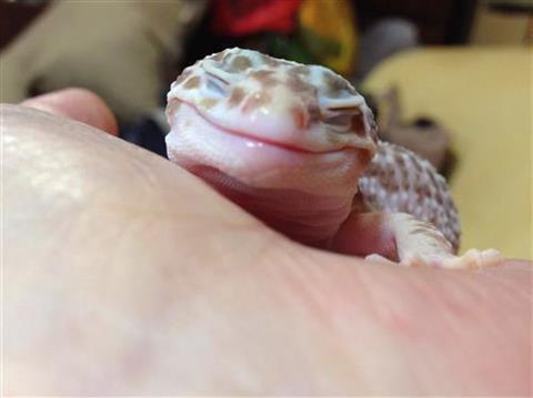 smiley_3420b.jpg
