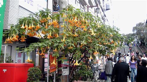 yanaka_339a.jpg